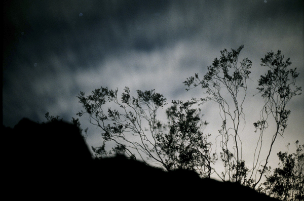 creosote and moonset